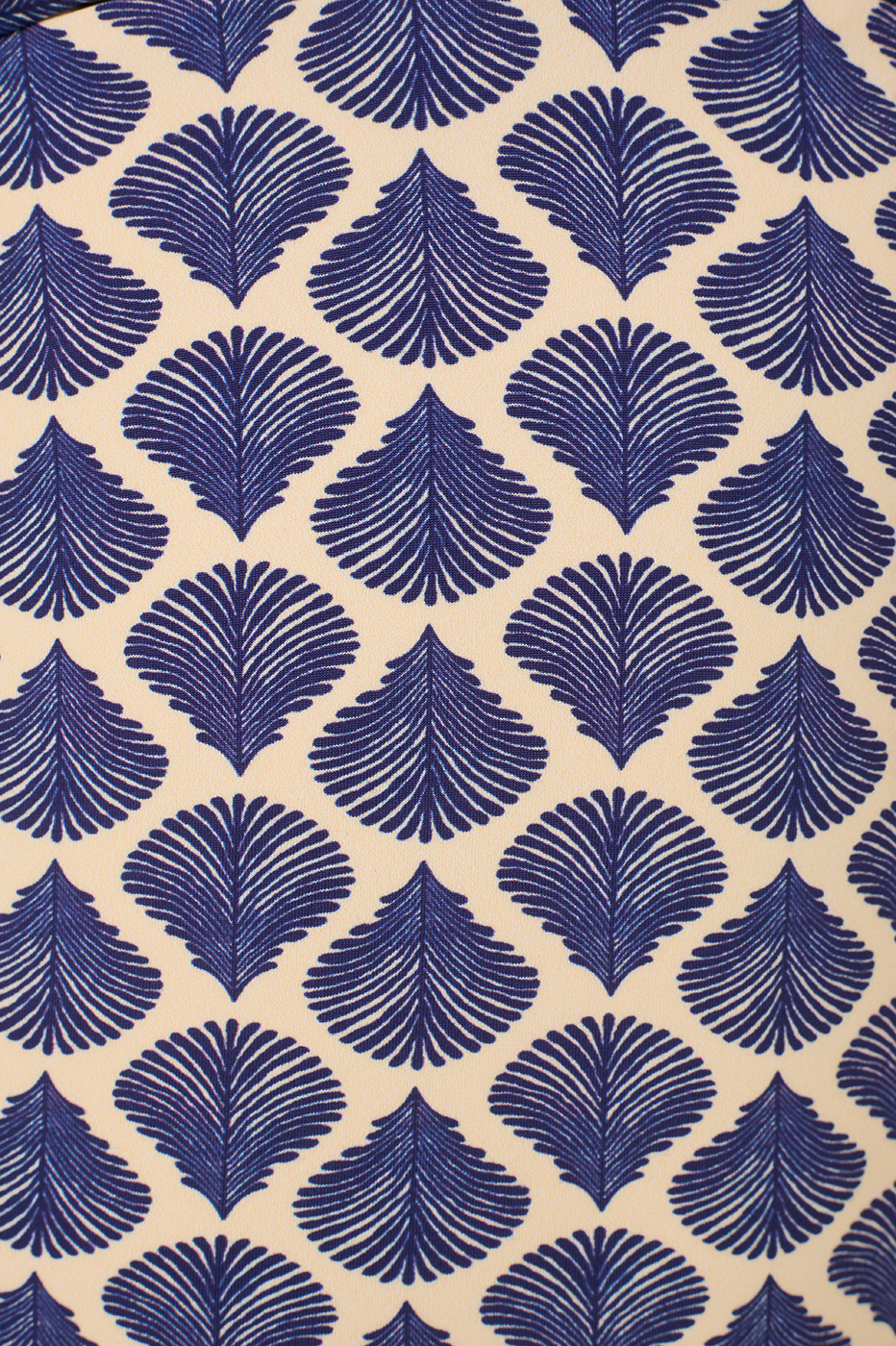 Shells Print Swimsuit